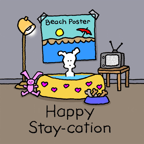 Stay Home Family Vacation GIF by Chippy the Dog - Find & Share on GIPHY