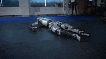Animated GIF