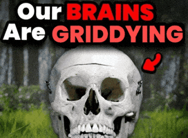 Our Brains GIF by Griddy Football Puzzles