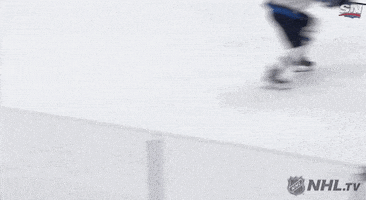 Celebrate Ice Hockey GIF by NHL