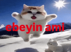 Madebypulad GIF