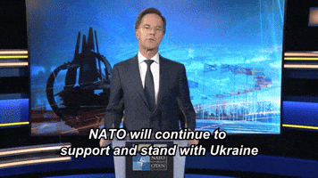 Strongertogether Otan GIF by NATO