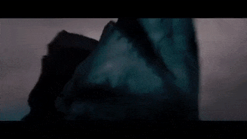 Bat GIF