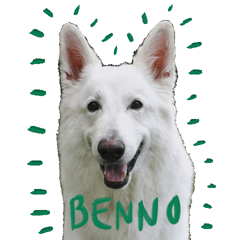 Dogs Sticker