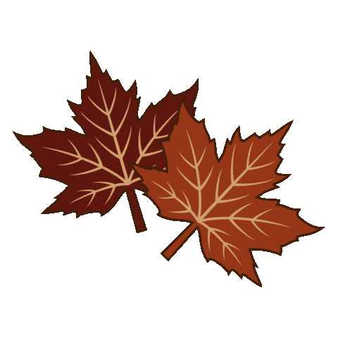 Autumn Leaves Fall Sticker by Noelle Downing
