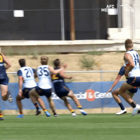 Mark Afl GIF by Adelaide Crows