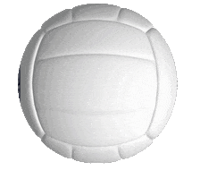 Netball World Cup Ball Sticker by SPORTRELIEF