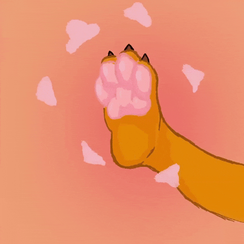 Furry GIF
