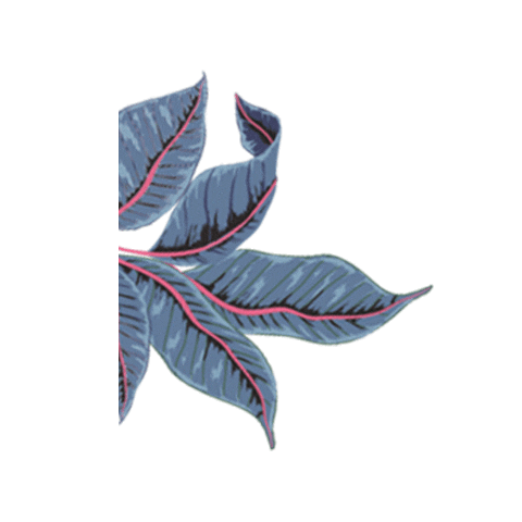 Flower Gypsy Sticker by HIPANEMA