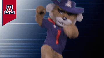 University Of Arizona GIF by College Colors Day