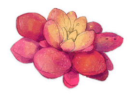 Stiftung Solina Sticker