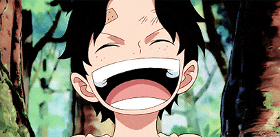 One Piece Laughing GIF by Toei Animation