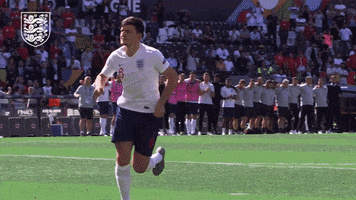 Celebrate Three Lions GIF by England