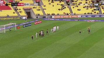 Wellington Phoenix FC GIF