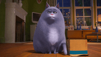 Game Fetch GIF by The Secret Life Of Pets