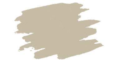 Sustainability Seed Sticker by seedandsproutco