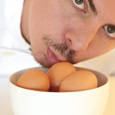 Egg-funny GIFs - Get the best GIF on GIPHY