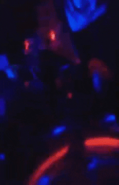 Janfackelmann GIF