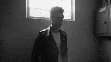 Bvb GIF
