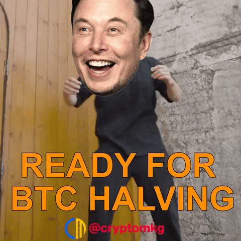 Elon Musk Dancing GIF by Crypto GIFs & Memes ::: Crypto Marketing