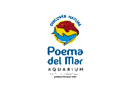 Canarias Grancanaria Sticker by Loro Parque