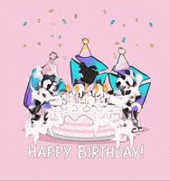 Happy Birthday Gif GIF by IDX Solana