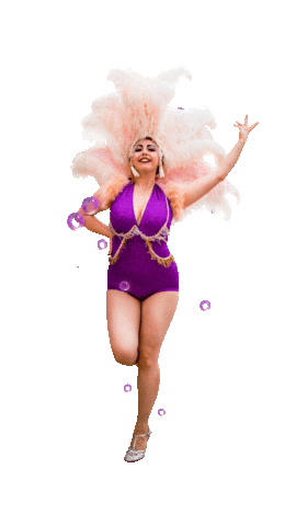 City of Stirling Sticker