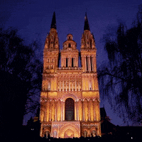 france-angers-cathedrale-SA5fQuaq7Rs64VLzkk