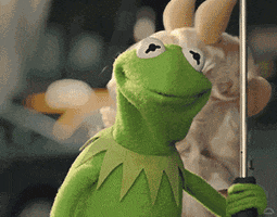 No Idea Reaction GIF by Muppet Wiki