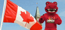 GIF by University of Calgary
