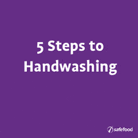 Wash Hands Hand GIF by safefood