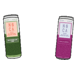 Sticker by DrinkNOCA