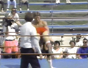 Wwe GIF