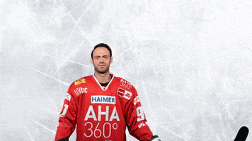 Hockey Del GIF by Augsburger Panther Eishockey GmbH