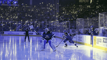 Hockey Ahl GIF by Colorado Eagles