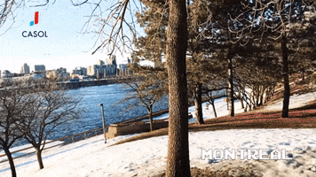 200.gif?cid=fc005b089279cbb77eb82ead160378ea28d7da8fe7fa31fd&rid=200.gif&ct=g
