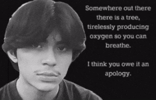 Tree Oxygen GIF