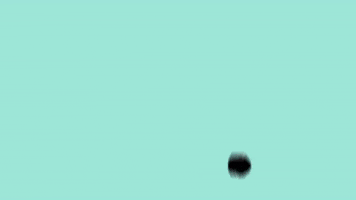 Bear GIF