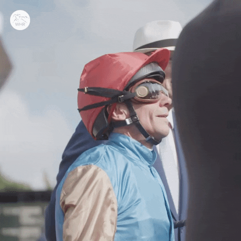 Dettori Wow GIF by World Horse Racing