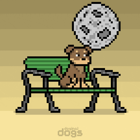 Full Moon Waiting GIF by Doginal Dogs