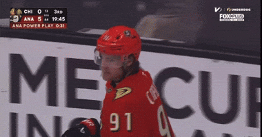 Anaheim Ducks Hockey GIF