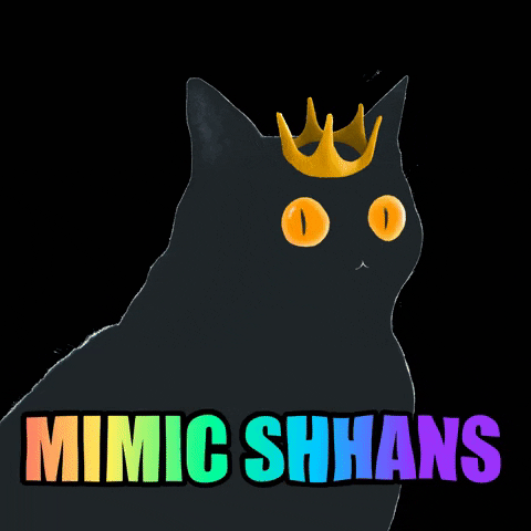 Black Cat GIF by MIMIC SHHANS