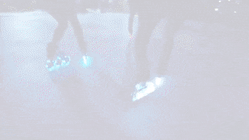 Roller Rollerblading GIF