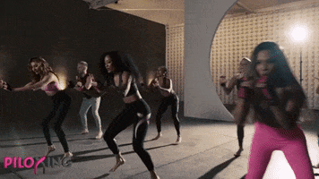 Dance Fitness GIF by Piloxing