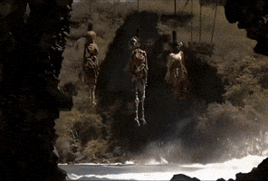 Warning Pirates Of The Caribbean GIF by CaptainBNB