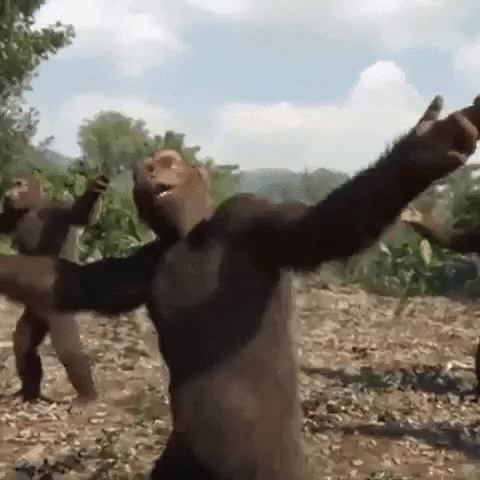 giphy.gif?cid=19f5b51acf1ffe4088a3dcf9d0ad34d44252fe94080319e4&rid=giphy.gif