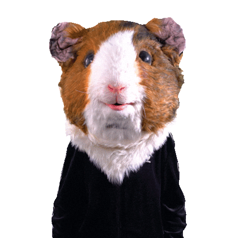 VGN Nürnberg Sticker