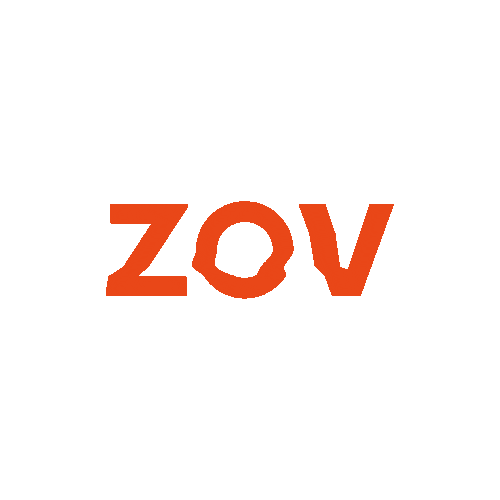 ZOV Sticker