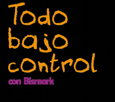 Todo Bajo Control GIF by Bismarkpapeleria