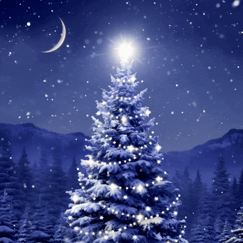 Christmas GIF